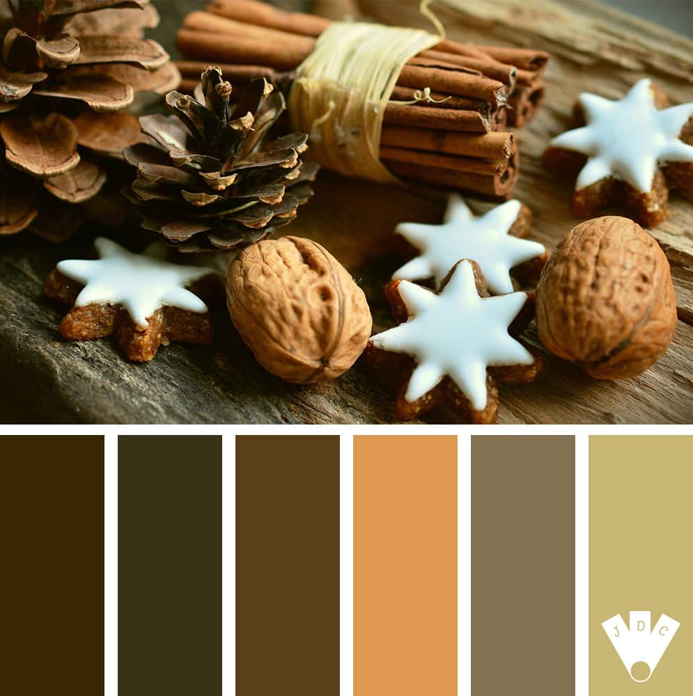 Color palette hivernale avec des noix de la cannelle et des biscuits