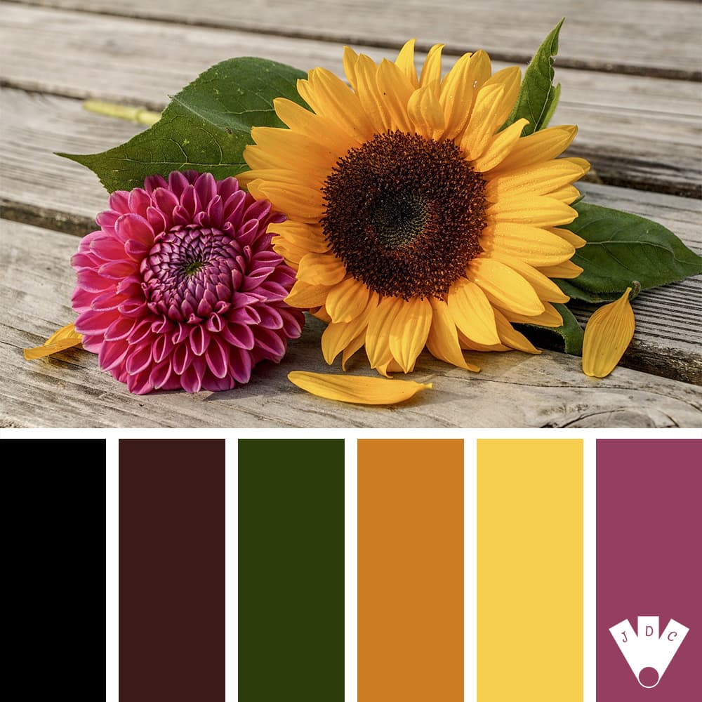 Color palette pour un peu de couleur avec ce tournesol et ce dahlia