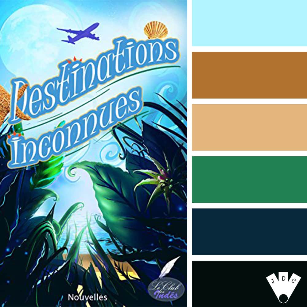 Color palette du livre "Destinations inconnues" du club des indés