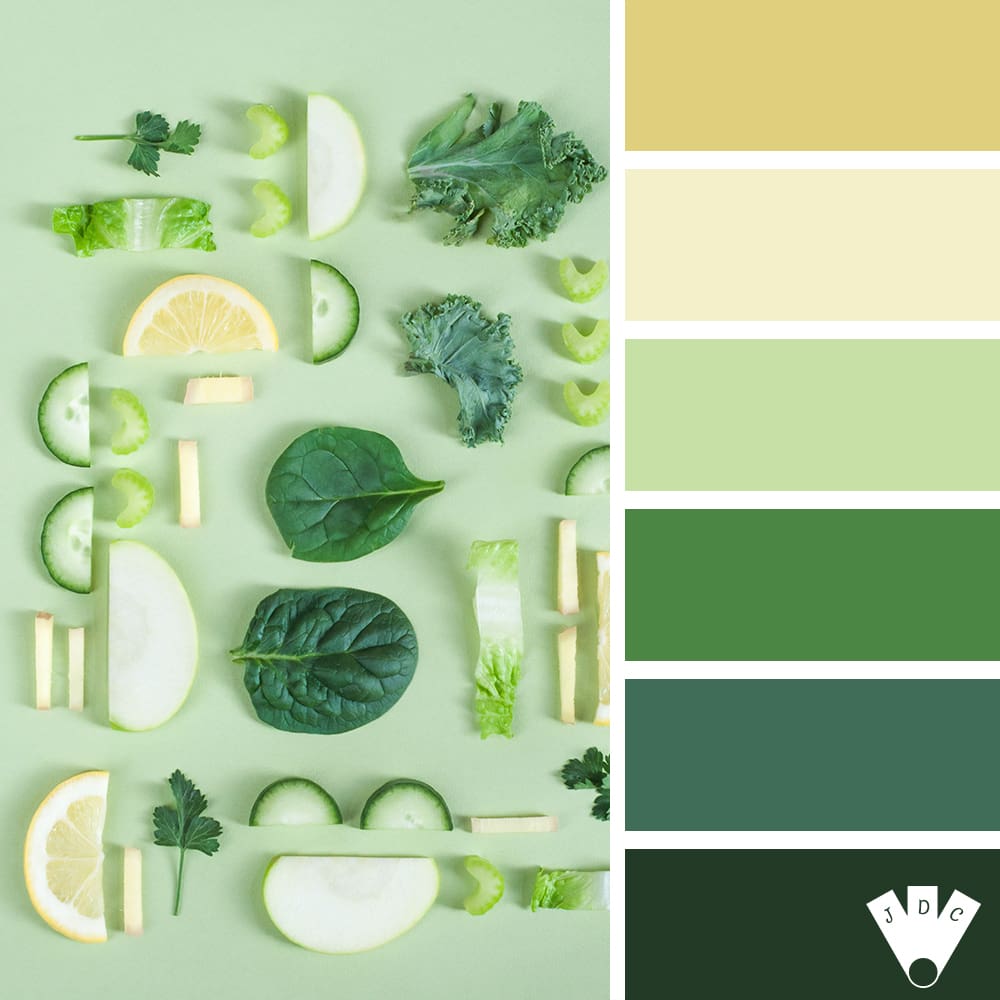 Color palette dans les tons vert avec des légumes