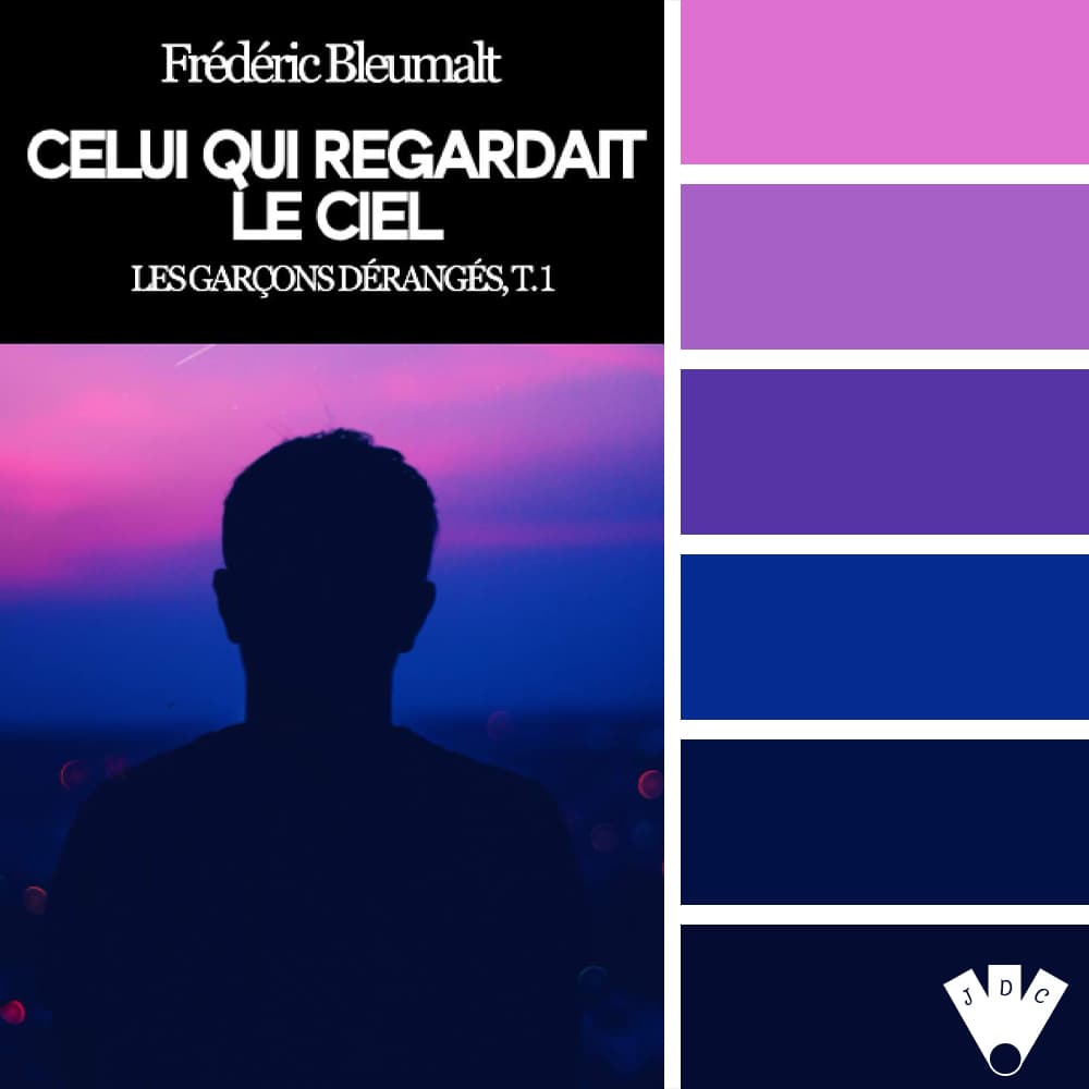 Color palette à partir de la couverture du livre "Celui qui regardait le ciel T1" de Frédéric Bleumalt.