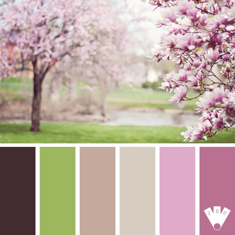 Color palette de fleurs qui s'ouvrent au printemps.