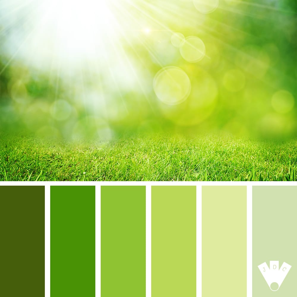 Color palette dans les tons vert avec coin de verdure éclairé par un rayon de soleil