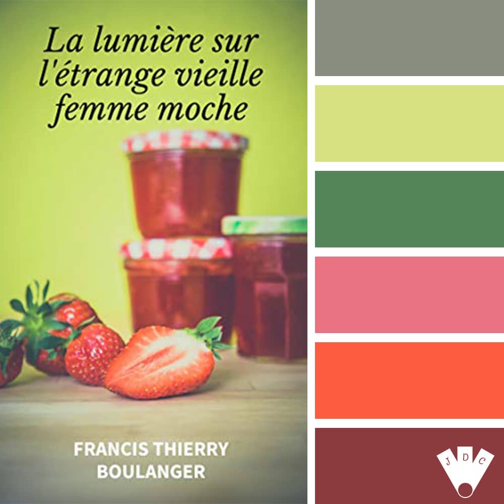 Color palette du livre "La lumière sur l'étrange vieille femme moche" de Francis Thierry Boulanger