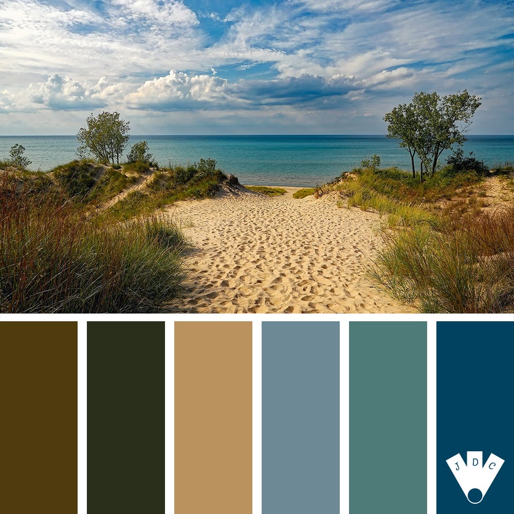 Color palette d'une dune de plage, qui invite a aller s'asseoir en bord de mer et à admirer le paysage.