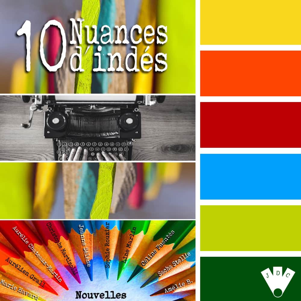 Color palette du livre "10 nuances d'indés"