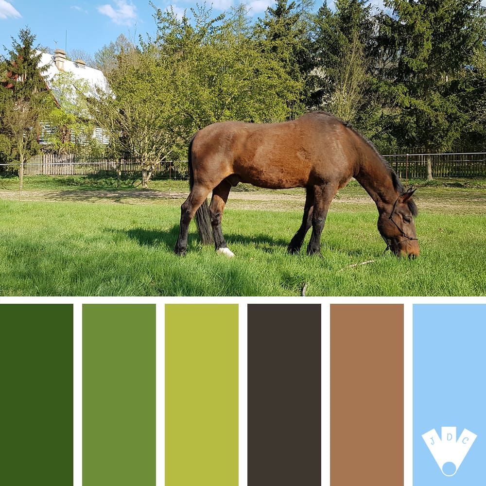 color palette d'une photo de The French Family. Le cheval Lucky broutant de l'herbe.
