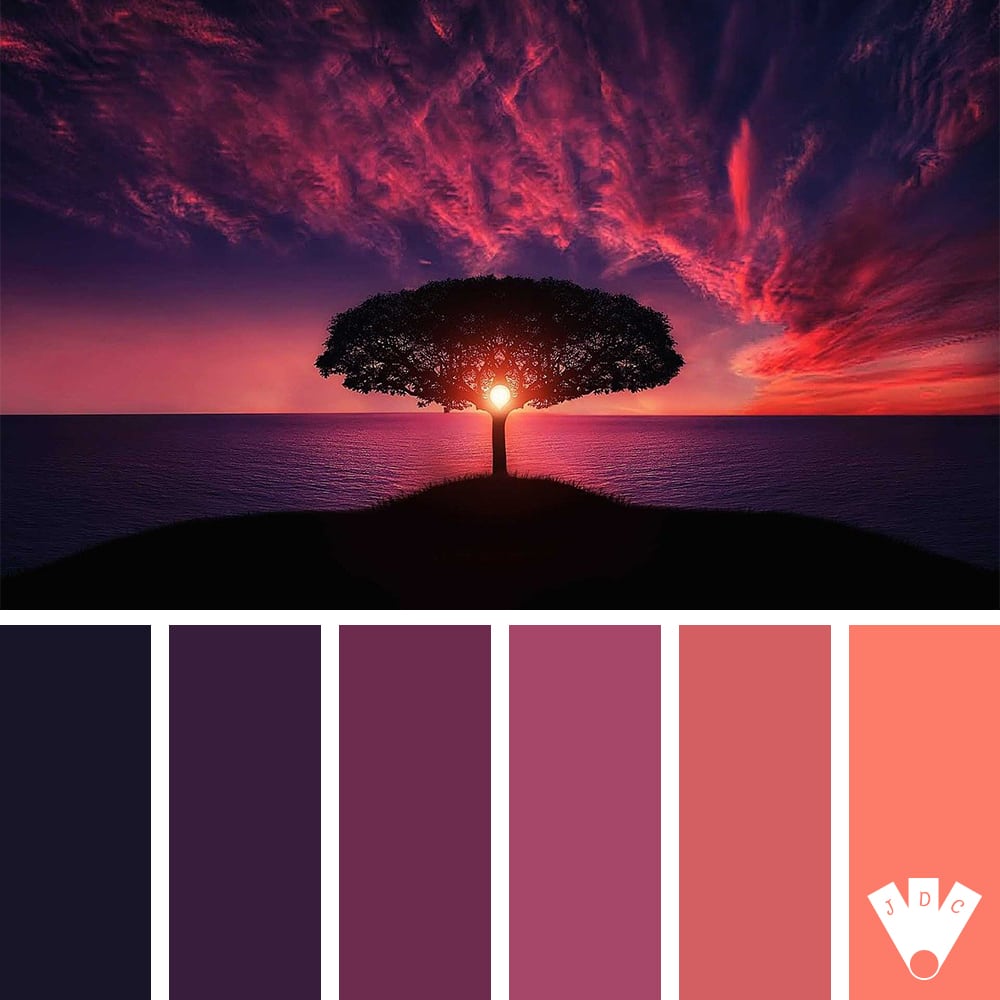 Color palette d'un coucher de soleil avec un arbre et la mer