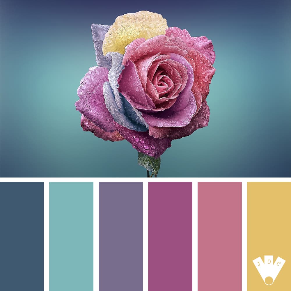 Color palette à partir d'une photo d'une rose avec des gouttes d'eau