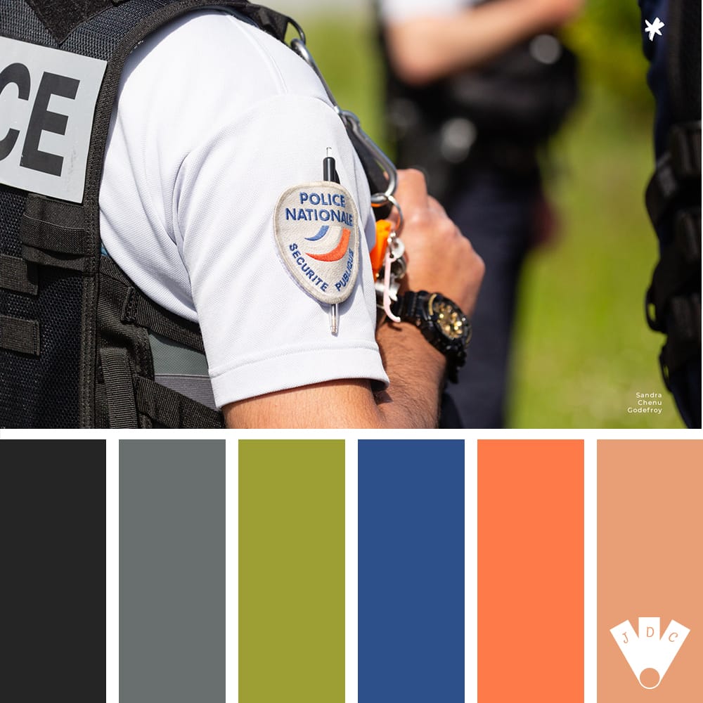 Color palette à partir d'une photo de "La police nationale : DDSP" de la photographe Sandra Chenu Godefroy