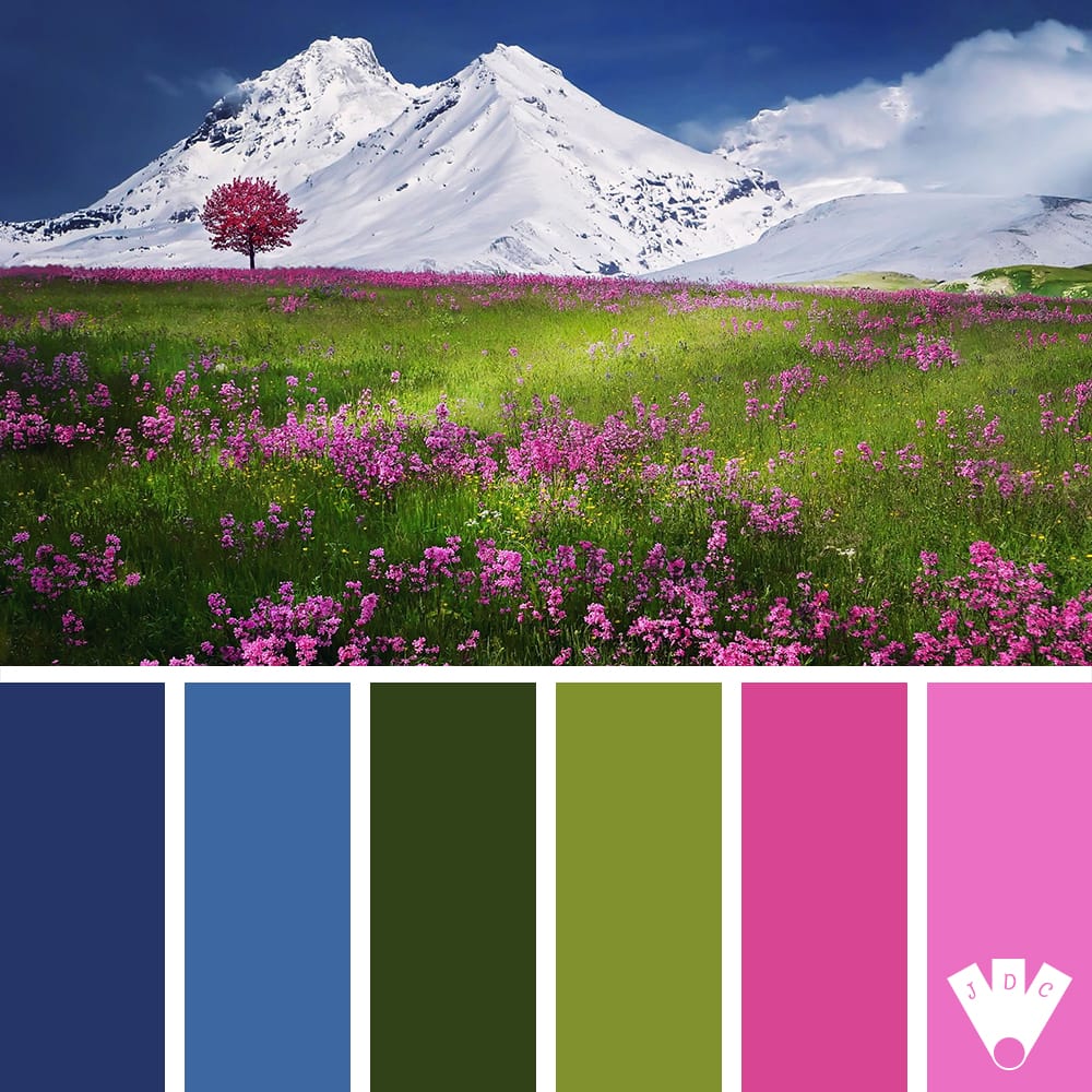 Color palette à partir d'une photo de paysage de montagne.