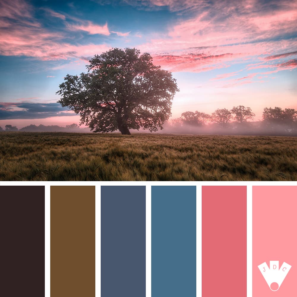 Color palette à partir d'une photo de lever de soleil dans la campagne