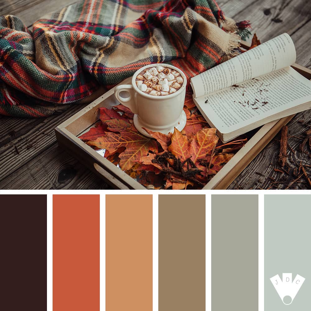 Color palette à partir d'une photo d'un chocolat chaud posé sur des feuilles d'automne avec un plaid et un livre ouvert