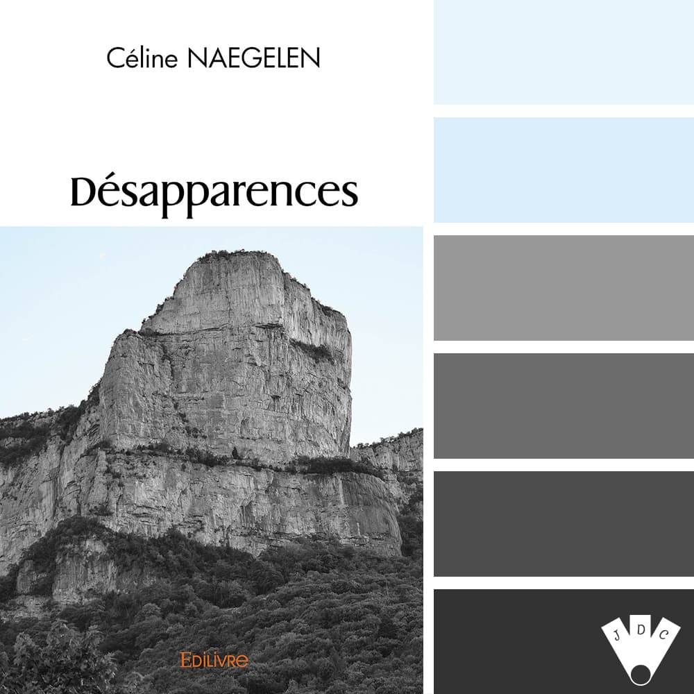 Color palette à partir de la couverture du livre "Désapparences" de l'autrice Céline Naegelen