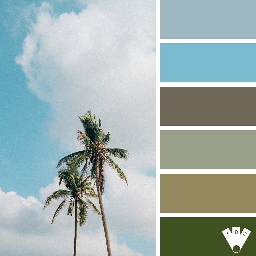Color palette à partir d'une photo de palmiers.