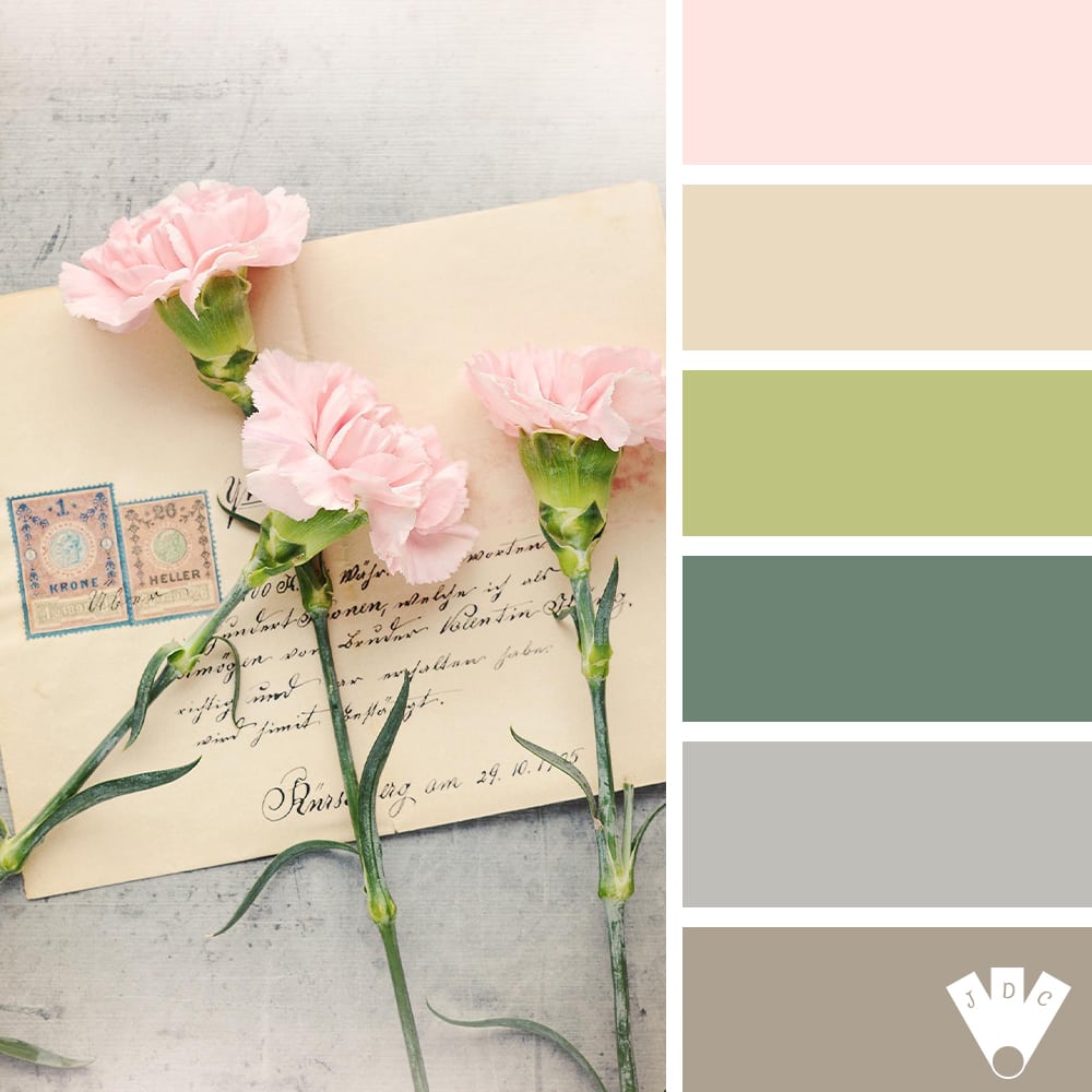 Color palette à partir d'une photo d'une enveloppe timbré et de fleurs.