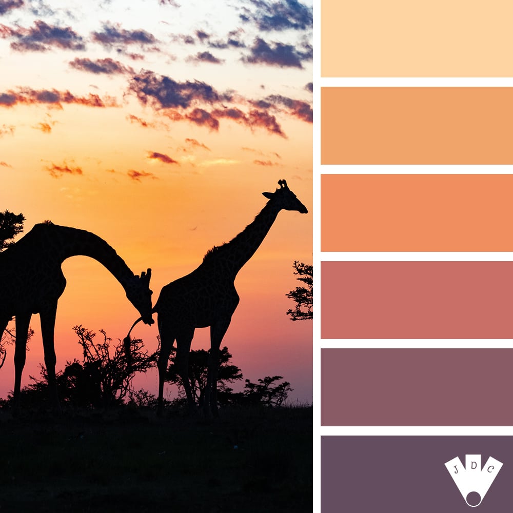 Color palette d'un photo de girafe au coucher du soleil