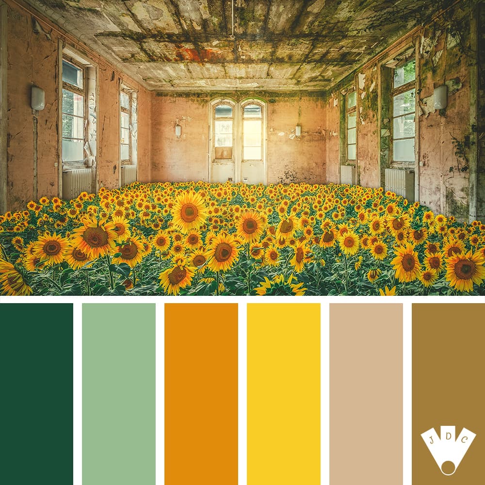 Color palette à partir d'une photo de tournesol par la photographe Diane - Neverends.