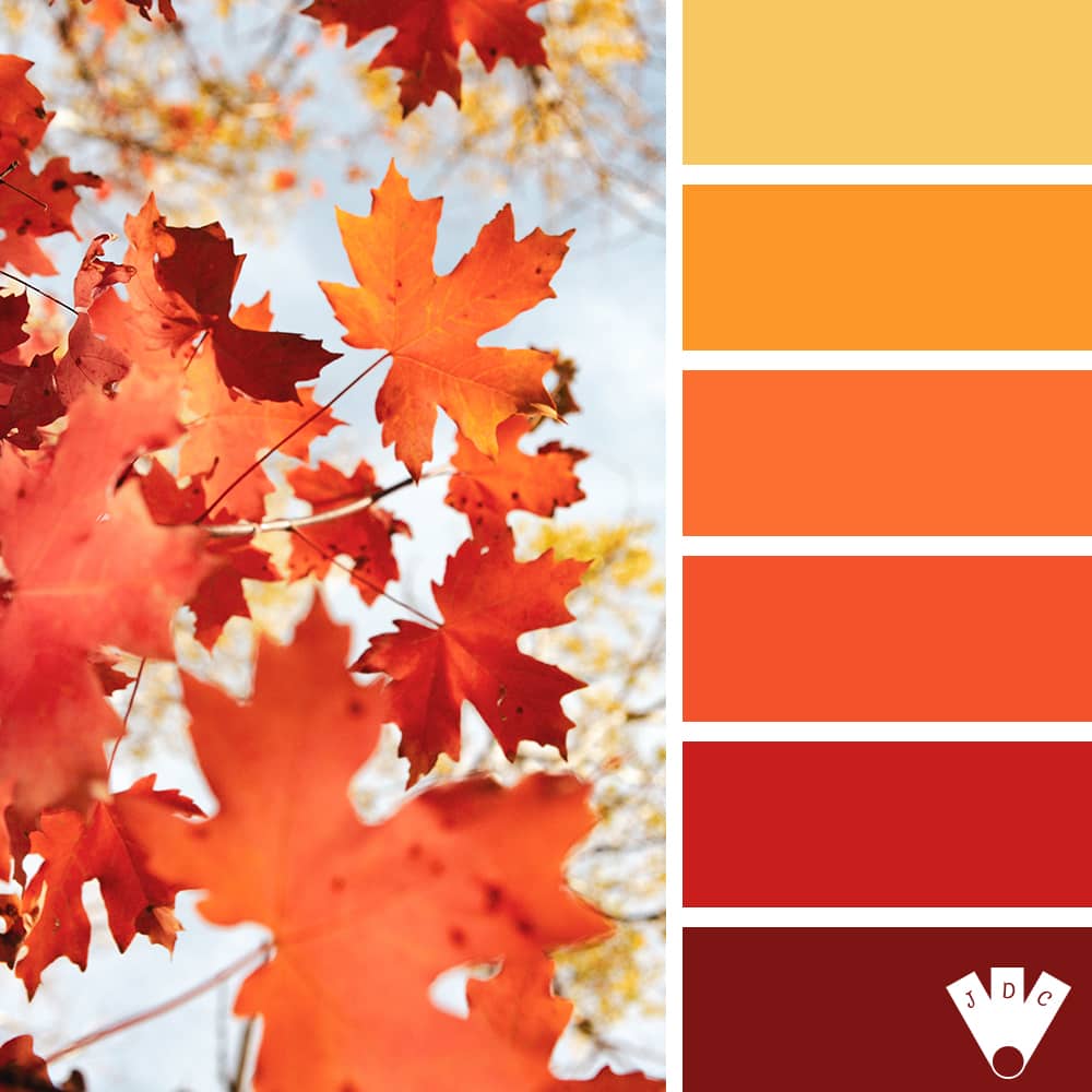Color palette à partir d'une photo de feuilles d'automne.