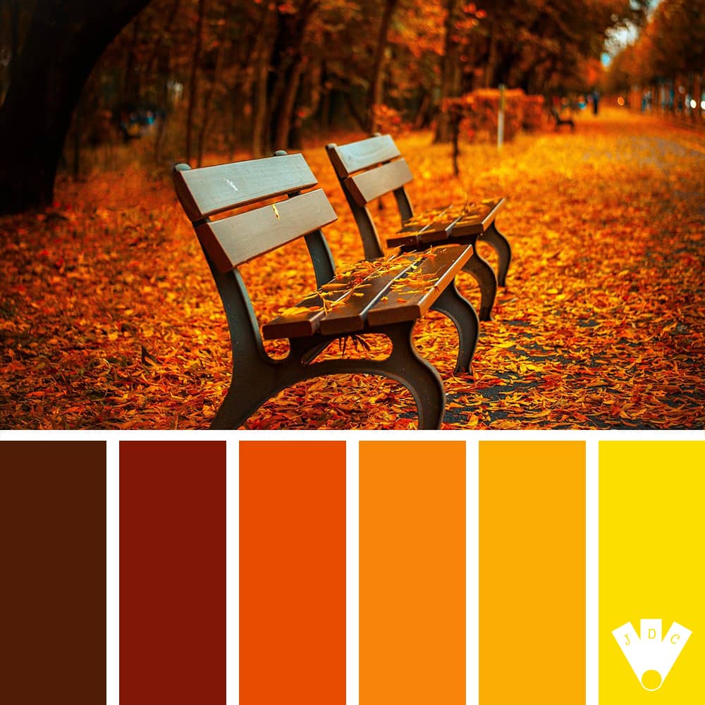 Color palette à partir d'une photo de bancs sous les feuilles d'automne.