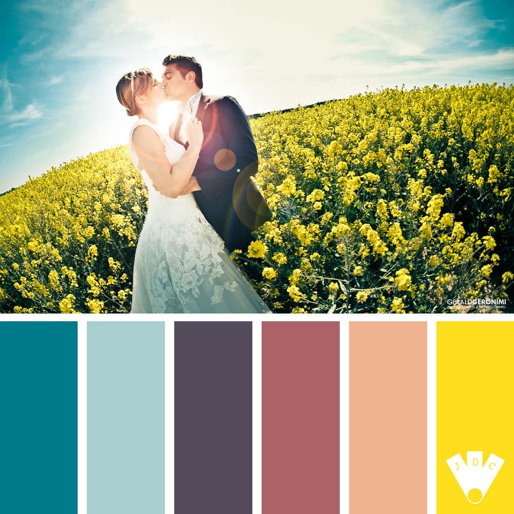 Color palette à partir d'une photo des mariés Candice et Frédéric dans un champ de colza, par le photographe de mariage Gérald Geronimi.