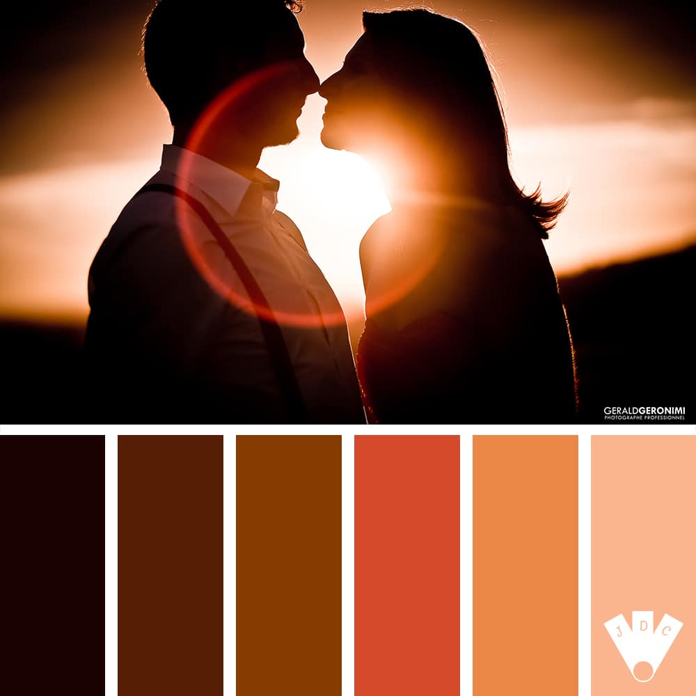 Color palette à partir d'une photo des mariés Carolie et Olivier dans un champ de coquelicot au couché du soleil, par le photographe de mariage Gérald Geronimi.