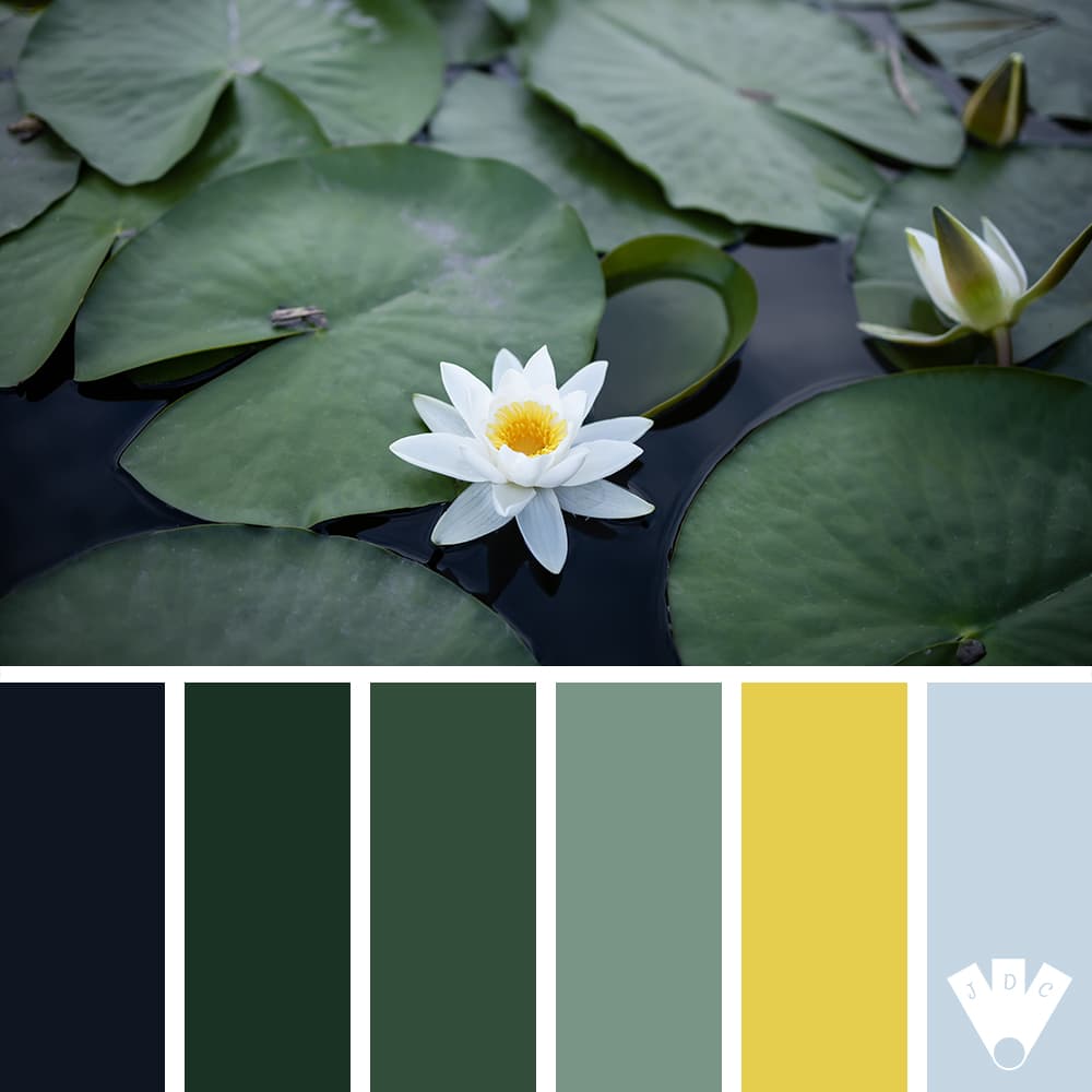 Color palette à partir d'une photo de fleur de nénuphar.