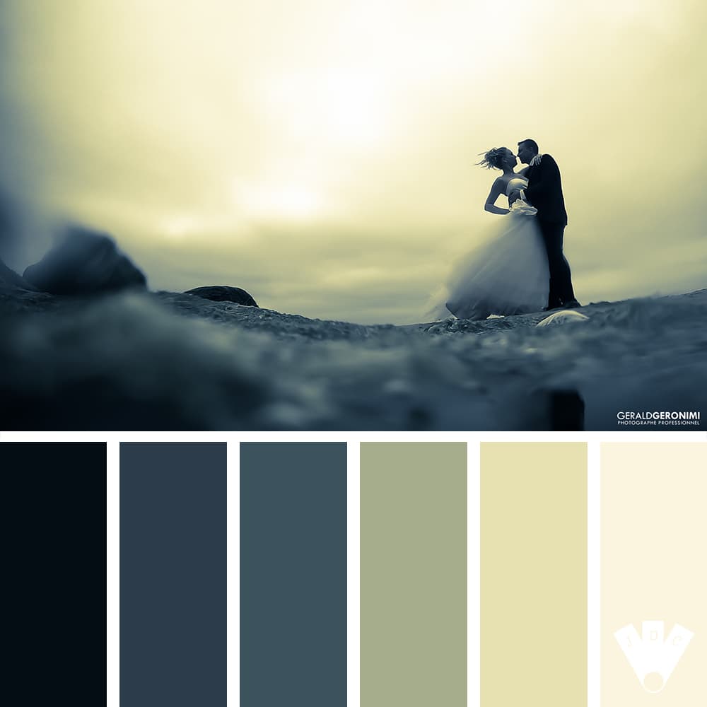Color palette à partir d'une photo des mariés Magalie et Frédéric, par le photographe de mariage Gérald Geronimi.