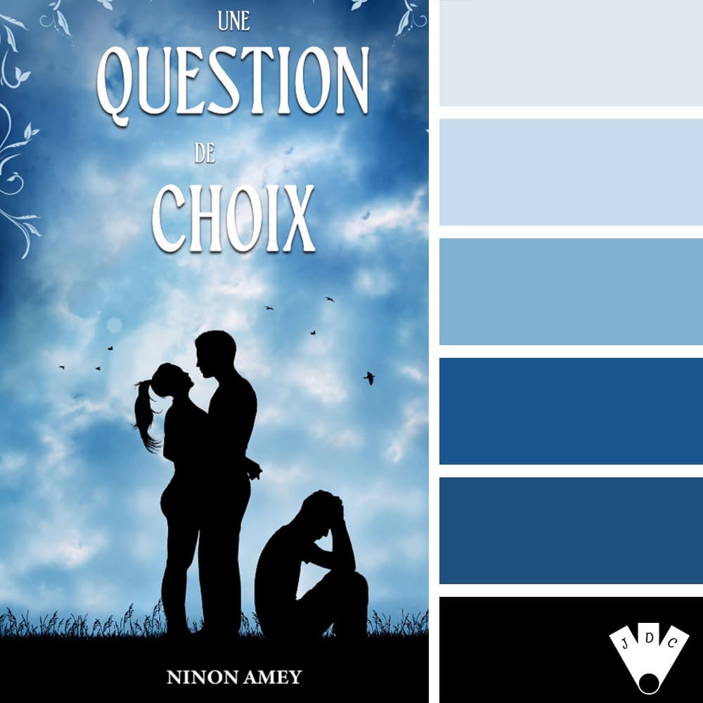 Color palette à partir de la couverture du livre "Une question de choix" de l'autrice Ninon Amey