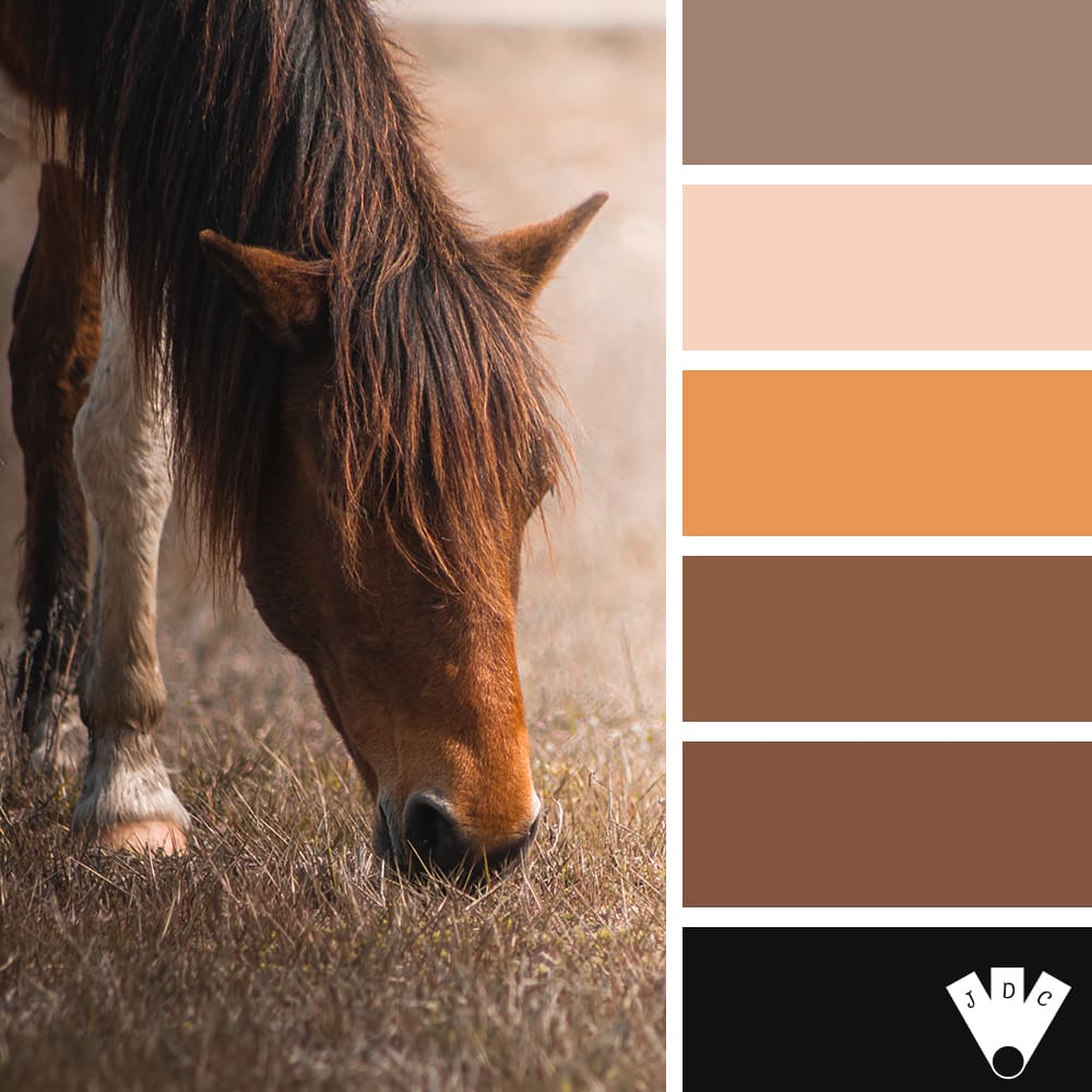 Color palette à partir d'un cheval qui broute dans le près