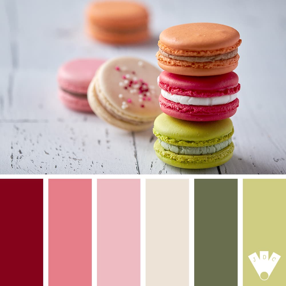 Color palette à partir d'une photo de macaron