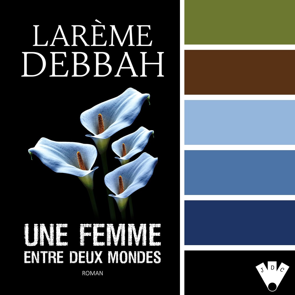 Color palette à partir du livre "Une femme entre deux mondes" de Larème Debbah