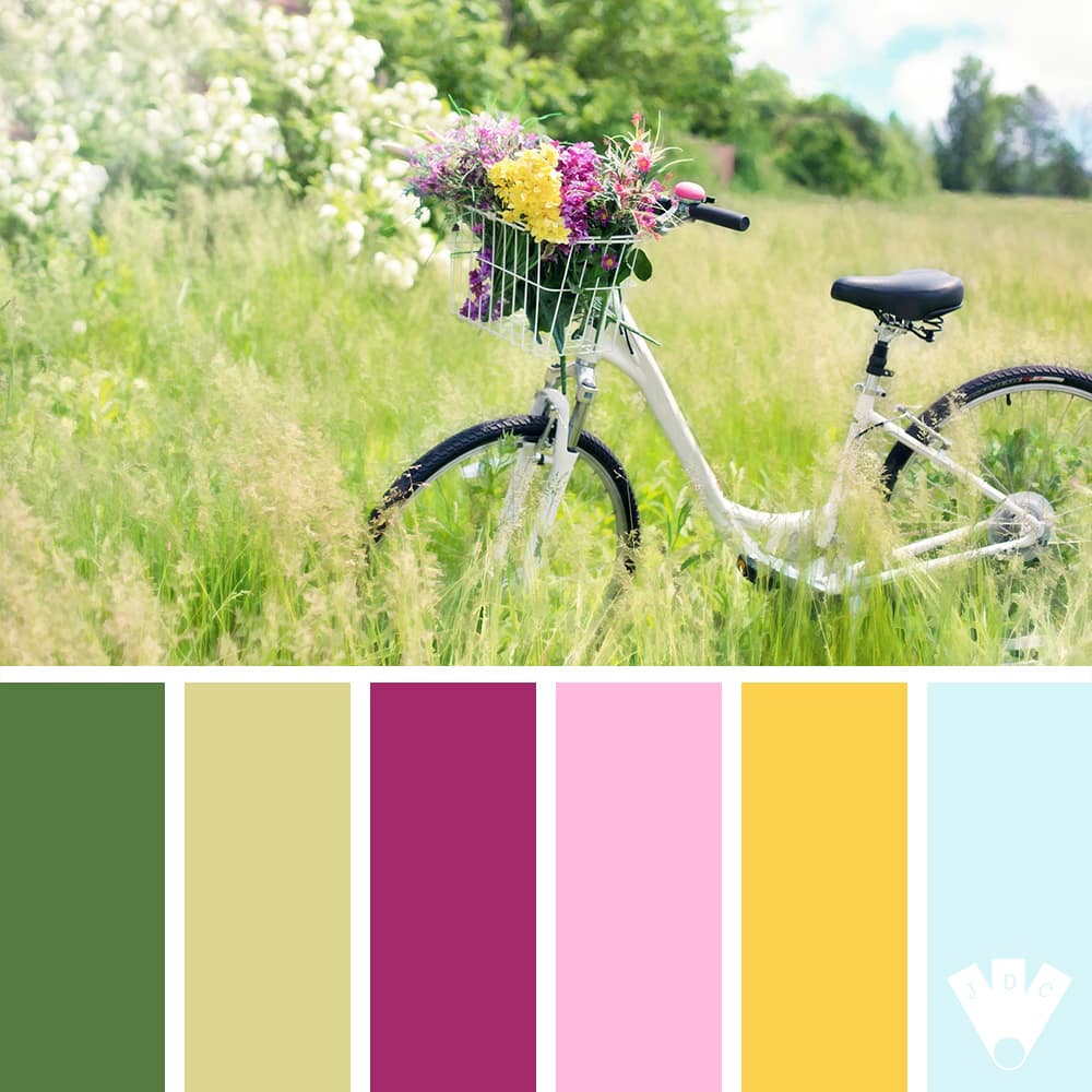 Color palette à partir d'un vélo au milieu d'une prairie d'herbe