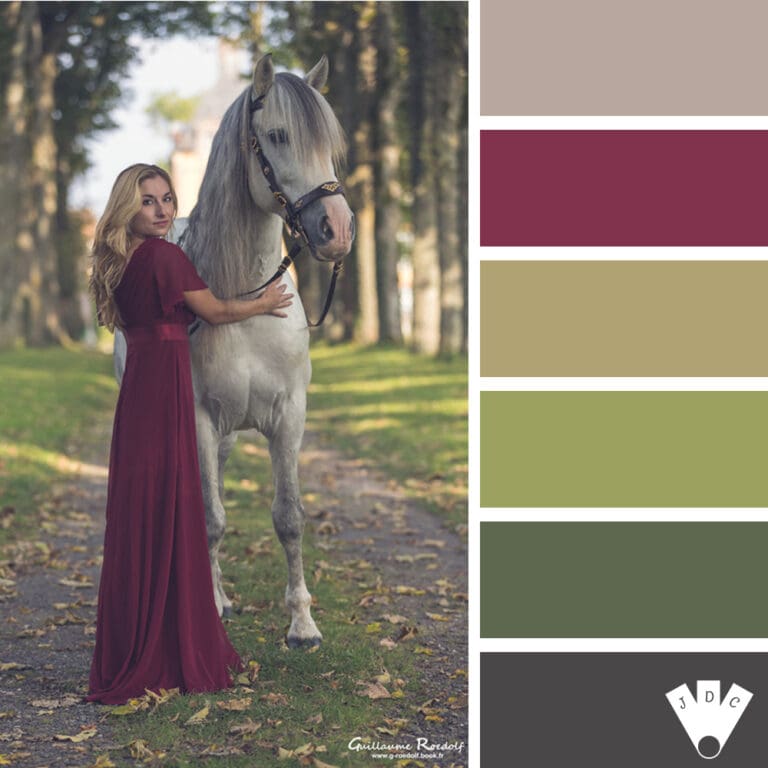 Color palette à partir d'une photo de la modèle Amandine Delion et de son cheval Diego. Photo du photographe Guillaume Roedolf