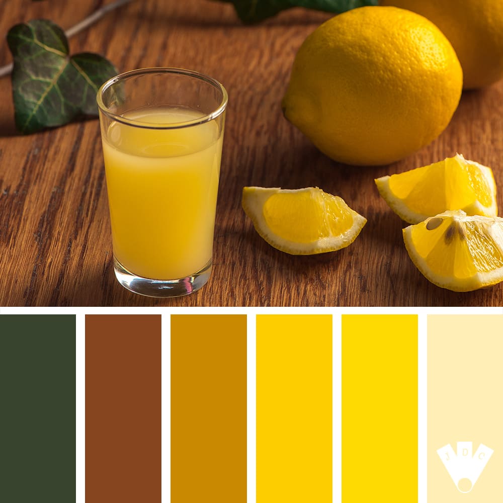 color palette à partir d'une photo d'un verre de jus de citron