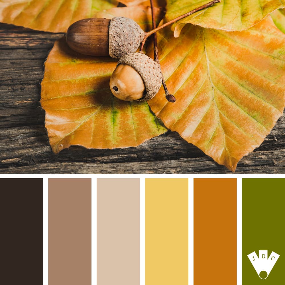 Color palette à partir d'une photo de feuille orange et de gland, le tout posé sur un bout de bois.