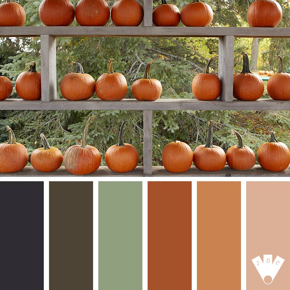 Color palette à partir d'une photo de citrouille orange sur des étagères en bois.