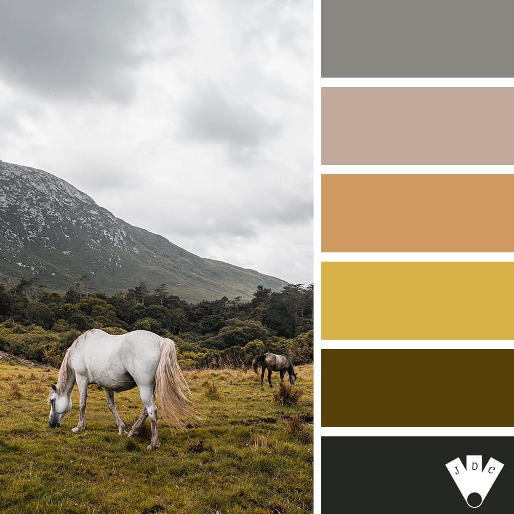 Color palette à partir d'une photo de chevaux dans un près en Irlande