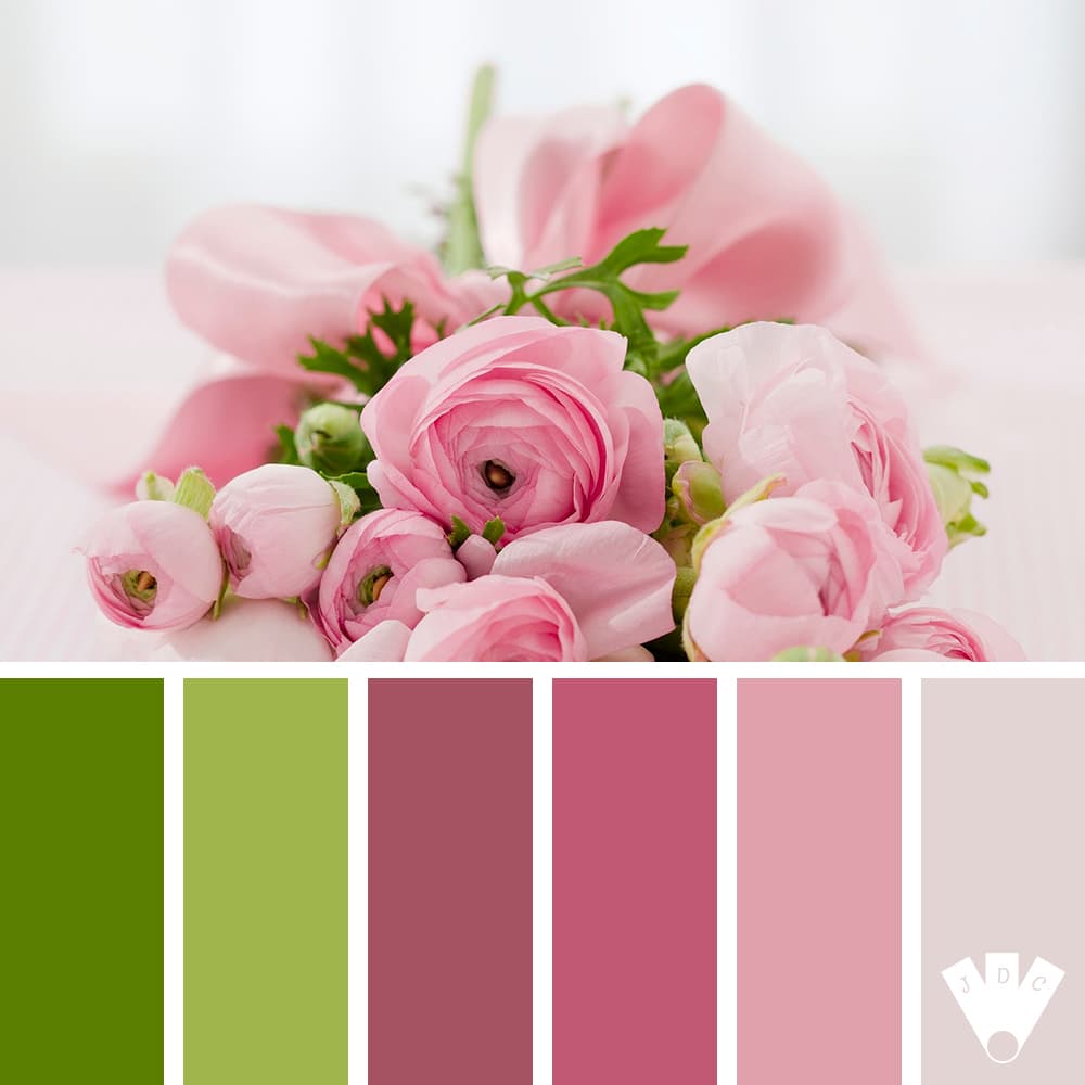 Color palette à partir d'une photo d'un bouquet de rose