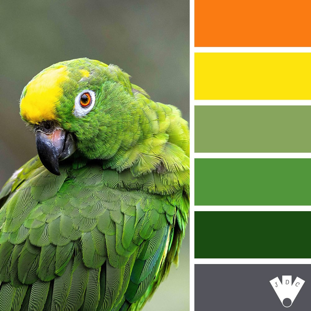 Perroquet aux plumes vertes et jaunes – Palette de couleurs inspirée de la nature tropicale.