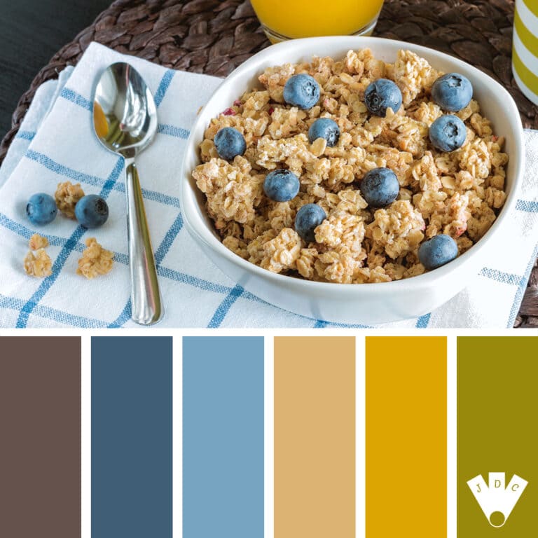 Bol de granola aux myrtilles sur une serviette à carreaux, palette de couleurs bleu, jaune et beige.