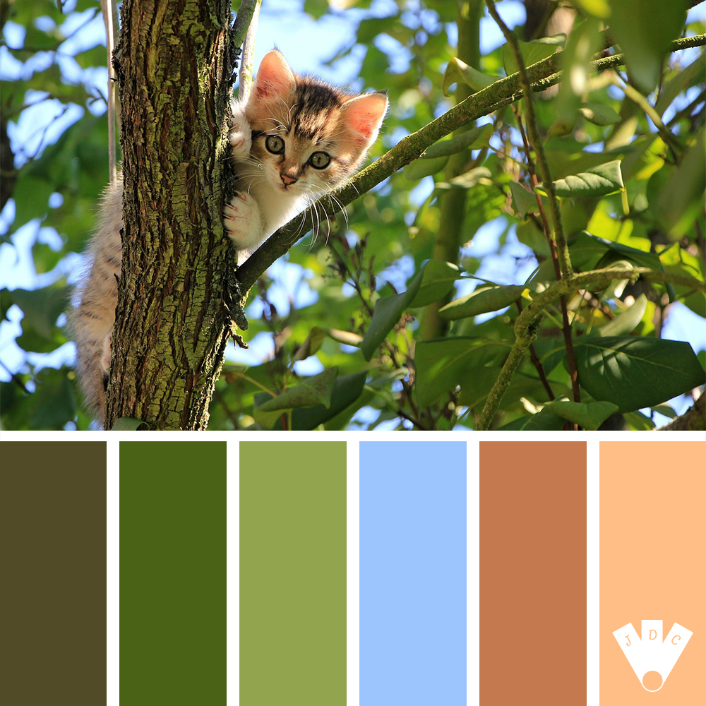 Chaton perché dans un arbre avec une palette de couleurs inspirée de la nature.
