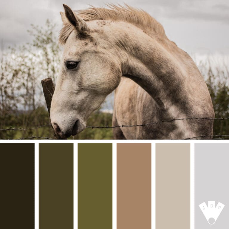 Cheval beige à la crinière ébouriffée devant une clôture en fil barbelé, dans un paysage de campagne aux teintes naturelles