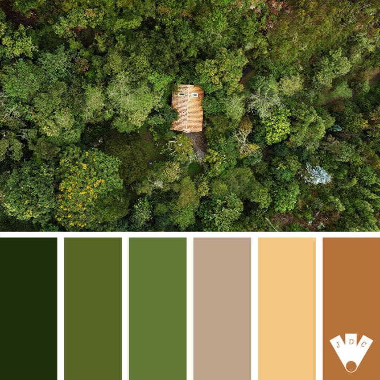 Vue aérienne d’une cabane au toit orangé au cœur d’une forêt luxuriante.