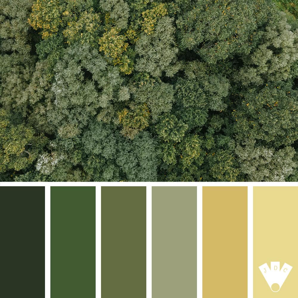 Vue aérienne d’une forêt dense aux teintes vertes et dorées, inspiration automnale.